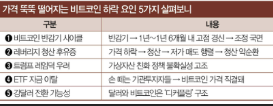 ‘큰손’마저 던졌다! 비트코인 30% 급락, 지금이 바닥일까? 전문가 긴급 진단