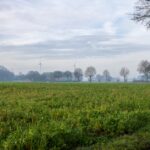 A peaceful rural landscape featuring wind turbines and a green field under a morning sky.