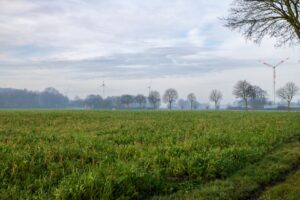 A peaceful rural landscape featuring wind turbines and a green field under a morning sky.