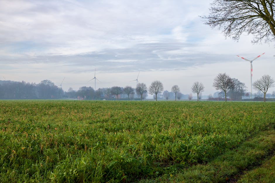 A peaceful rural landscape featuring wind turbines and a green field under a morning sky.