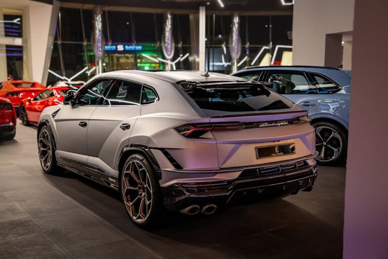 독감주사 3가 4가 차이점 비교, 나에게 맞는 백신 선택 가이드와 접종 시기 꿀팁