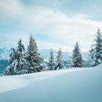 Tranquil winter scene of snow-covered trees in Megève, France amidst the Alps.