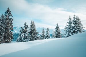 Tranquil winter scene of snow-covered trees in Megève, France amidst the Alps.