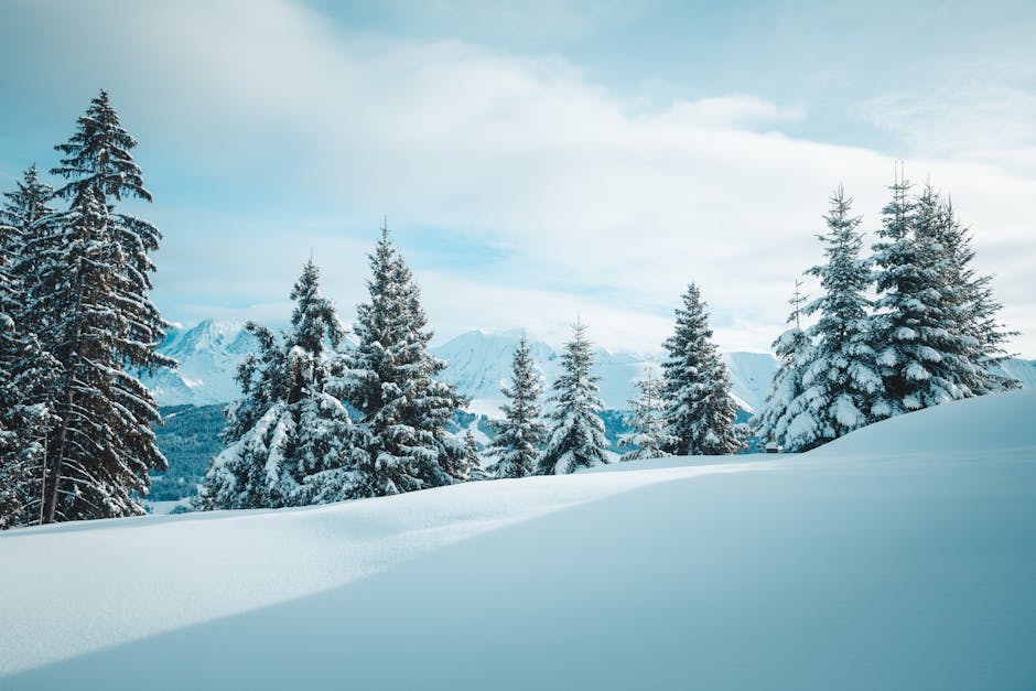 Tranquil winter scene of snow-covered trees in Megève, France amidst the Alps.