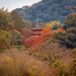 Stunning view of a traditional pagoda surrounded by autumn foliage in Kyoto, Japan.