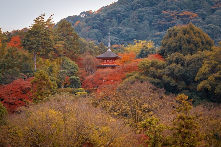 Stunning view of a traditional pagoda surrounded by autumn foliage in Kyoto, Japan.