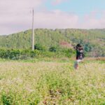 A photographer taking pictures in a lush, green countryside field on a sunny day.