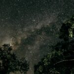 A captivating view of the Milky Way galaxy surrounded by silhouettes of trees at night.