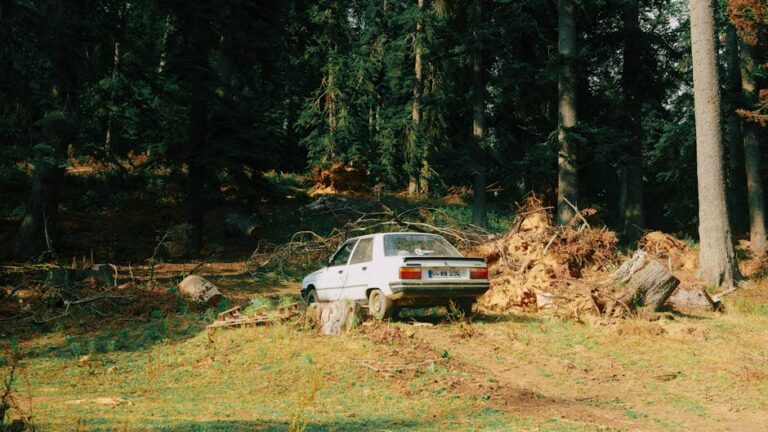 A lone car sits abandoned amidst tall trees in a serene forest scene.