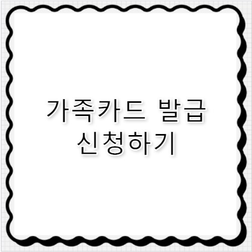 만 18세 가족카드 발급 조건&middot;혜택&middot;신청 방법