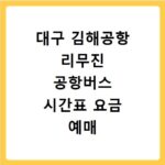 대구 김해공항 리무진 공항버스 시간표 요금 예매 방법
