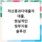저신용과다대출자 대출, 현실적인 정부지원 솔루션