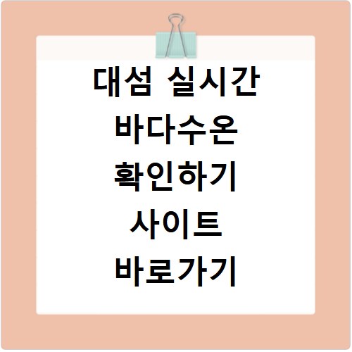 대섬 실시간 바다수온 확인하기 사이트 바로가기