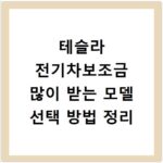 테슬라 전기차보조금 많이 받는 모델 선택 방법 정리