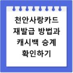 천안사랑카드 재발급 방법과 캐시백 승계 확인하기