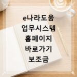 e나라도움 업무시스템 홈페이지 바로가기 보조금 신청 및 집행 방법
