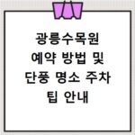 광릉수목원 예약 방법 및 단풍 명소 주차 팁 안내