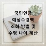 국민연금 예상수령액 조회 방법 및 수령 나이 계산