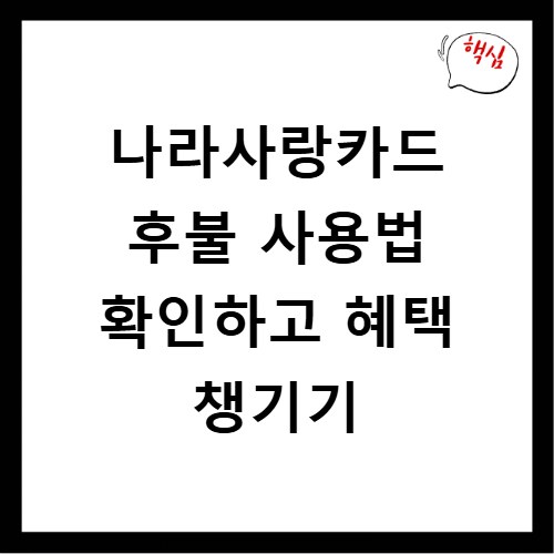 나라사랑카드 후불 사용법 확인하고 혜택 챙기기