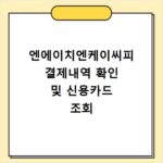 엔에이치엔케이씨피 결제내역 확인 및 신용카드 조회
