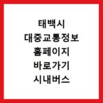태백시 대중교통정보 홈페이지 바로가기 시내버스 시간표 최신 정보