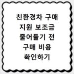 친환경차 구매 지원 보조금 줄어들기 전 구매 비용 확인하기