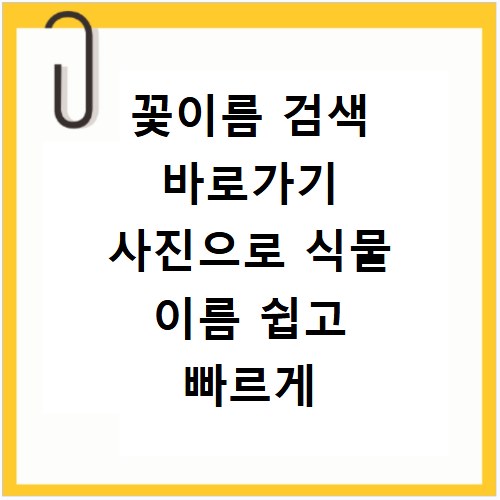 꽃이름 검색 바로가기 사진으로 식물 이름 쉽고 빠르게 찾는 방법