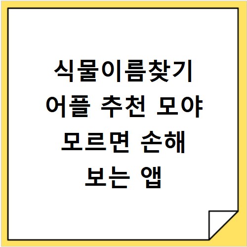 식물이름찾기 어플 추천 모야 모르면 손해 보는 앱