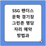 SSG 랜더스 문학 경기장 그린존 명당 자리 예약 방법과 텐트 구역 팁