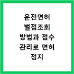 운전면허 벌점조회 방법과 점수 관리로 면허 정지 미리 예방하는 법