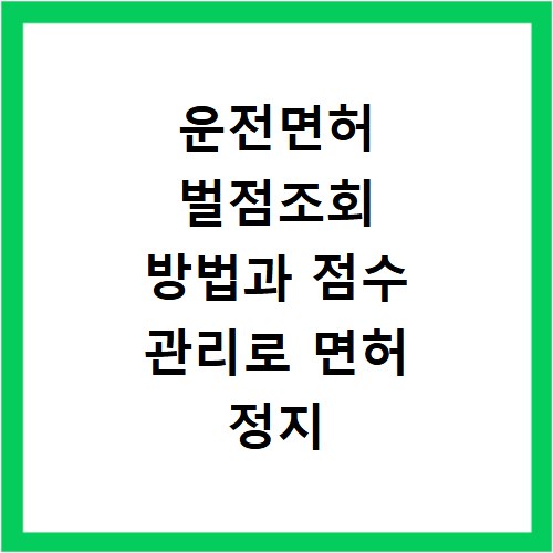 운전면허 벌점조회 방법과 점수 관리로 면허 정지 미리 예방하는 법