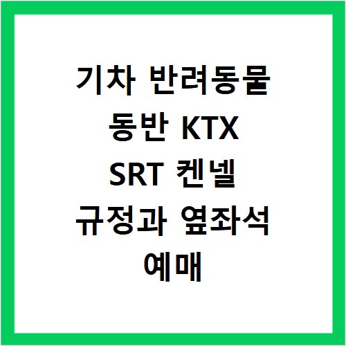 기차 반려동물 동반 KTX SRT 켄넬 규정과 옆좌석 예매 꿀팁 정리