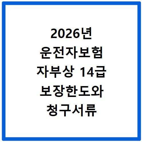 2026년 운전자보험 자부상 14급 보장한도와 청구서류 정리