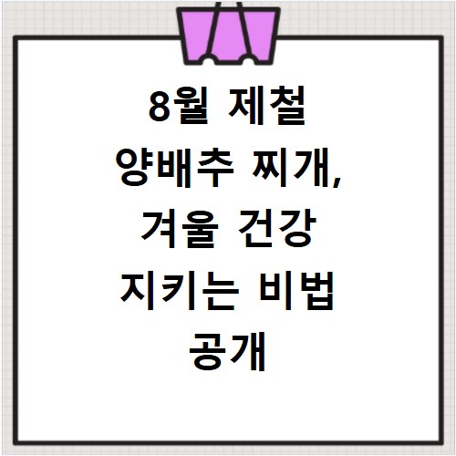 8월 제철 양배추 찌개, 겨울 건강 지키는 비법 공개