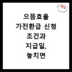 으뜸효율 가전환급 신청 조건과 지급일, 놓치면 후회해요