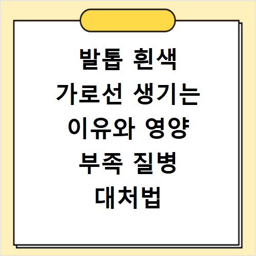 발톱 흰색 가로선 생기는 이유와 영양 부족 질병 대처법