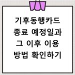 기후동행카드 종료 예정일과 그 이후 이용 방법 확인하기
