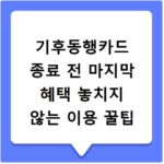 기후동행카드 종료 전 마지막 혜택 놓치지 않는 이용 꿀팁