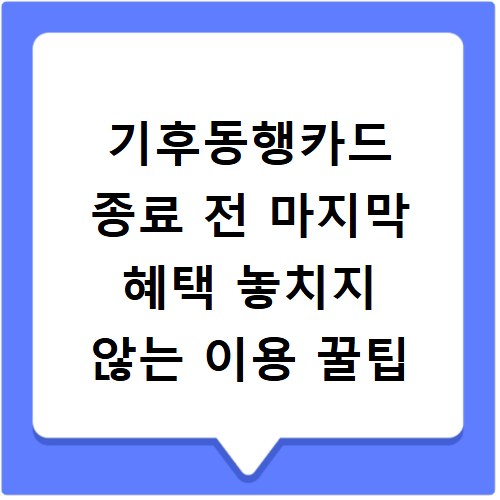 기후동행카드 종료 전 마지막 혜택 놓치지 않는 이용 꿀팁