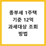 종부세 1주택 기준 12억 과세대상 조회 방법