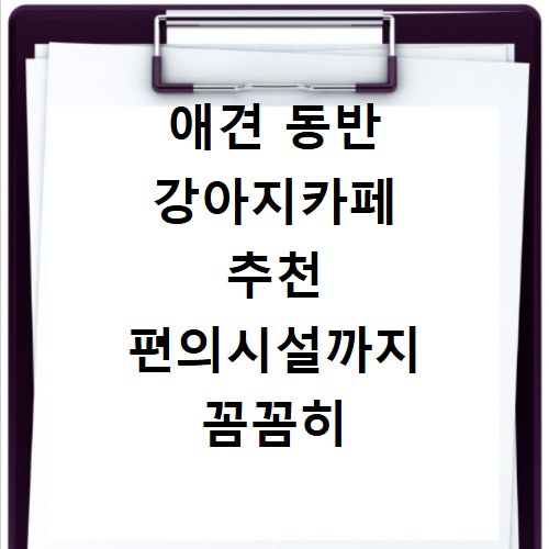 애견 동반 강아지카페 추천 편의시설까지 꼼꼼히 확인하세요