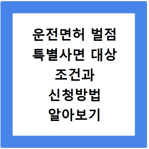 운전면허 벌점 특별사면 대상 조건과 신청방법 알아보기