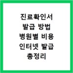 진료확인서 발급 방법 병원별 비용 인터넷 발급 총정리