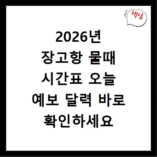 2026년 장고항 물때 시간표 오늘 예보 달력 바로 확인하세요