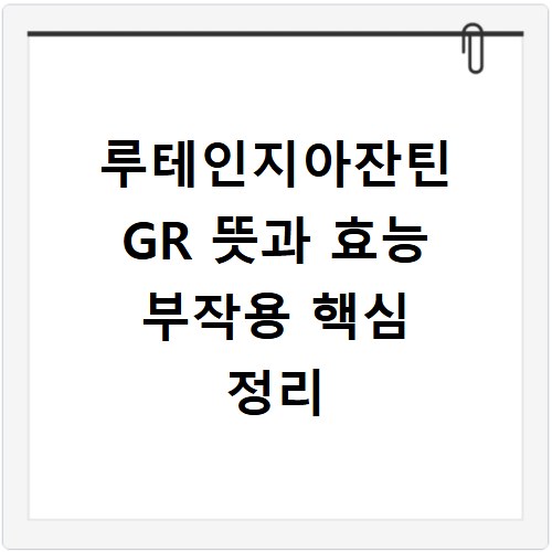루테인지아잔틴 GR 뜻과 효능 부작용 핵심 정리
