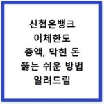신협온뱅크 이체한도 증액, 막힌 돈 뚫는 쉬운 방법 알려드림