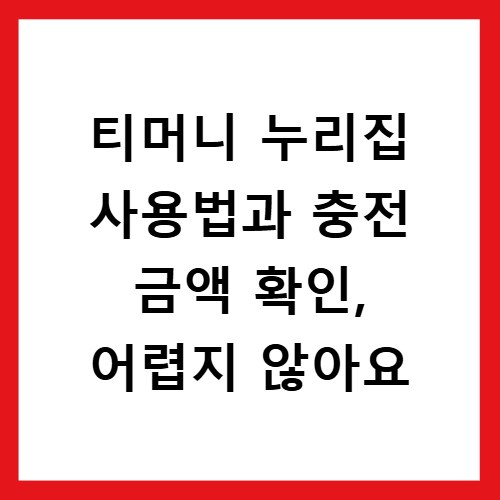 티머니 누리집 사용법과 충전 금액 확인, 어렵지 않아요