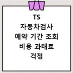 TS 자동차검사 예약 기간 조회 비용 과태료 걱정 끝