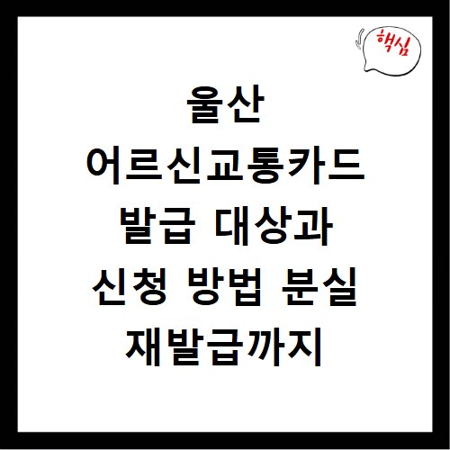 울산 어르신교통카드 발급 대상과 신청 방법 분실 재발급까지