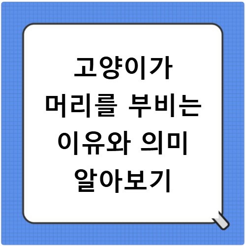 고양이가 머리를 부비는 이유와 의미 알아보기
